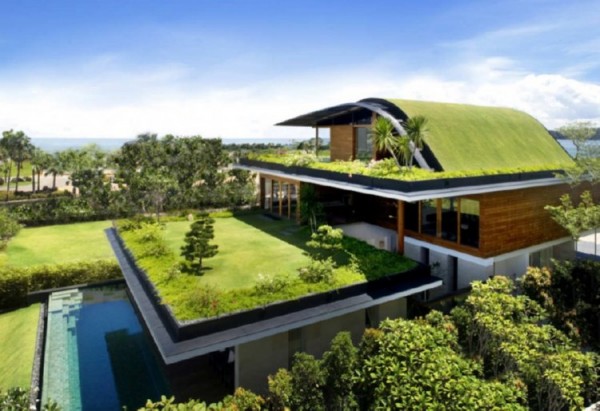 green roof aech daily