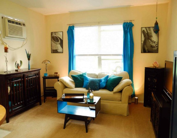 small-apartment-living-room-ideas-brown-wtmg8x1m1