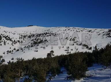 Plac, Zlatibor, Čigota, prodaja, 15071m2, 300000e, id786113