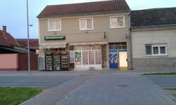 Kuca, Sremska Mitrovica, Centar, prodaja, 240m2, 275000e, id790348