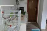Kuca, Jagodina, prodaja, 86m2, 55000e, id791472