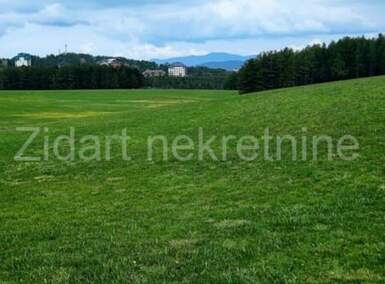 Plac, Zlatibor, Gajevi, prodaja, 550m2, 23000e, id793066