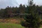 Plac, Zlatibor, Zova, prodaja, 6000m2, 470000e, id793068