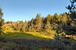 Plac, Zlatibor, Zova, prodaja, 6000m2, 470000e, id793068