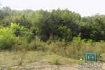 Poslovni prostor / Lokal, Paraćin, Izvor, prodaja, 89m2, 70000e, id798272