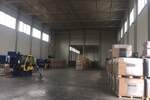 Poslovni prostor / Lokal, Beograd, Ugrinovci, izdavanje, 300m2, 1200e, id803432