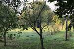 Kuca, Sombor, prodaja, 150m2, 120000e, id804277