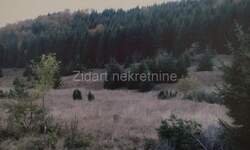 Plac, Zlatibor, Kaluđerske Bare, prodaja, 10753m2, 161295e, id810707