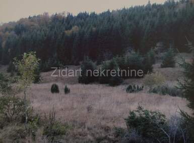 Plac, Zlatibor, Kaluđerske Bare, prodaja, 1121m2, 22420e, id810709