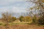 Kuca, Aleksinac, Tešica, prodaja, 73m2, 23500e, id834444