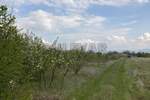 Plac, Niš, Vrtište, prodaja, 3808m2, 78500e, id850351