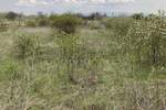 Plac, Niš, Vrtište, prodaja, 3808m2, 78500e, id850351