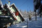 Kuca, Zlatibor, prodaja, 71m2, 78000e, id868464