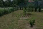Kuca, Kruševac, Kruševac, prodaja, 70m2, 65000e, id873658