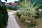 Kuca, Kruševac, Kruševac, prodaja, 70m2, 65000e, id873658