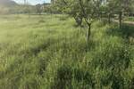 Plac, Kragujevac, Višnjak, prodaja, 967m2, 26000e, id874344
