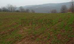 Plac, Malo Crniće - Malo Crniće | Prodaja · 39971m² · 22.000€