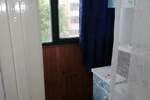 Stan, Novi Sad, Bulevar Kralja Petra Prvog, izdavanje, 25m2, 250e, id963206
