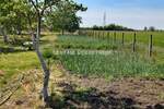 Plac, Sombor, prodaja, 0m2, 21000e, id964556