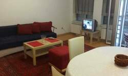 Dvosoban stan, Beograd, Crveni Krst, izdavanje, 50m2, 650e, id802733