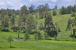 Plac, Zlatibor, Vodice, prodaja, 15000m2, 500000e, id967243