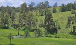 Plac, Zlatibor, Vodice, prodaja, 15000m2, 500000e, id967243