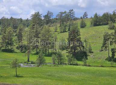 Plac, Zlatibor, Vodice, prodaja, 15000m2, 500000e, id967243