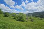 Plac, Zlatibor, Vodice, prodaja, 15000m2, 500000e, id967243