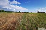 Plac, Beograd, Vrčin, prodaja, 8900m2, 160000e, id976169