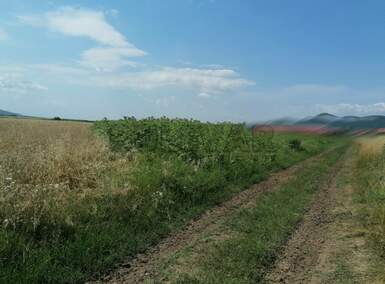 Plac, Niš, Čamurlija, prodaja, 8189m2, 368500e, id985936