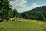 Plac, Užice, Tara, prodaja, 7000m2, 75000e, id910609