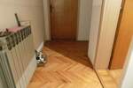 Kuca, Jagodina, prodaja, 250m2, 105000e, id746631