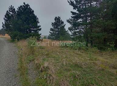 Plac, Valjevo, Divčibare, prodaja, 11328m2, 349000e, id1009785