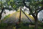 Kuca, Vranje, Železnička stanica Raška, prodaja, 298m2, 65000e, id1039935