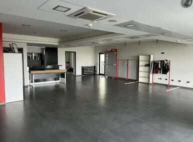 Poslovni prostor / Lokal, Beograd, Batajnicki drum, izdavanje, 300m2, 3400e, id1086948