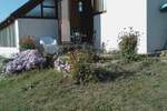 Kuca, Gornji Milanovac, Centar, prodaja, 85m2, 53000e, id1091236