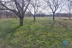 Plac, Jagodina, prodaja, 0m2, 65000e, id1134597