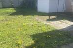 Kuca, Sombor, prodaja, 93m2, 87000e, id1156483