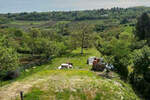 Kuca, Sremska Kamenica, Cardak, prodaja, 300m2, 442900e, id1160425