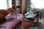 Kuca, Jagodina, Vrba, prodaja, 68m2, 20000e, id749927