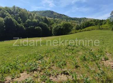 Plac, Aranđelovac, Darosava, prodaja, 22118m2, 99000e, id1179084