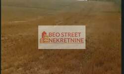 Plac, Vladimirci, prodaja, 0m2, 115000e, id1211500