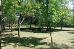 Plac, Knić, Grivac, prodaja, 8815m2, 22000e, id1258815