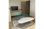Dvosoban stan, Beograd, Južni Bulevar, izdavanje, 40m2, 700e, id808475