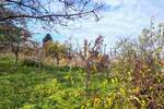 Plac, Beograd, Resnik, prodaja, 840m2, 49000e, id1293080