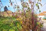 Plac, Beograd, Resnik, prodaja, 840m2, 49000e, id1293080