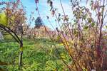 Plac, Beograd, Resnik, prodaja, 840m2, 49000e, id1293080