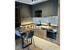 Dvosoban stan, Beograd, Dedinje, izdavanje, 39m2, 750e, id1308123