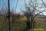 Kuca, Pančevo, Starčevo, prodaja, 300m2, 130000e, id1327896