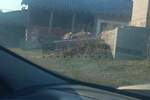 Kuca, Kragujevac, Petrovac, prodaja, 260m2, 75000e, id1332618